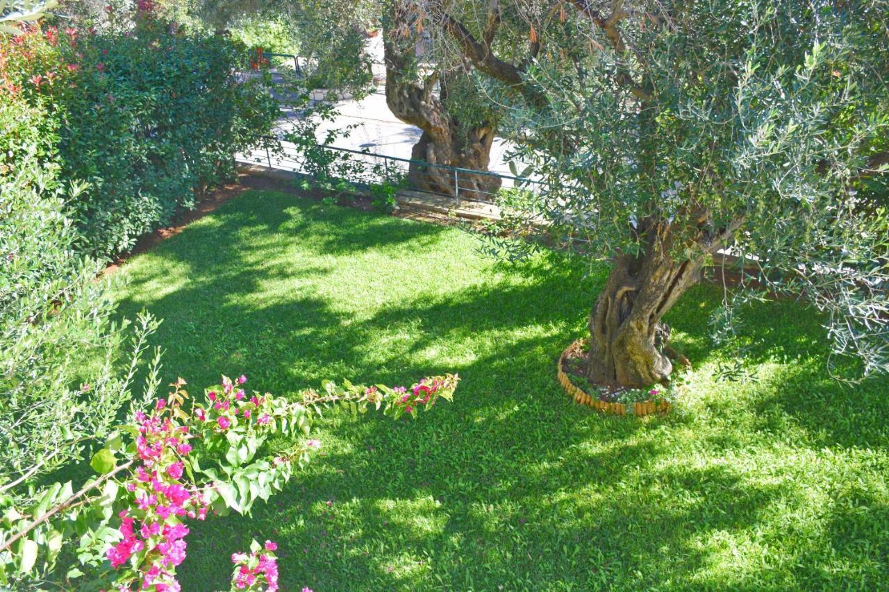 Apartamento Pebbles And Sea At Barbati With Shared Pool Exterior foto