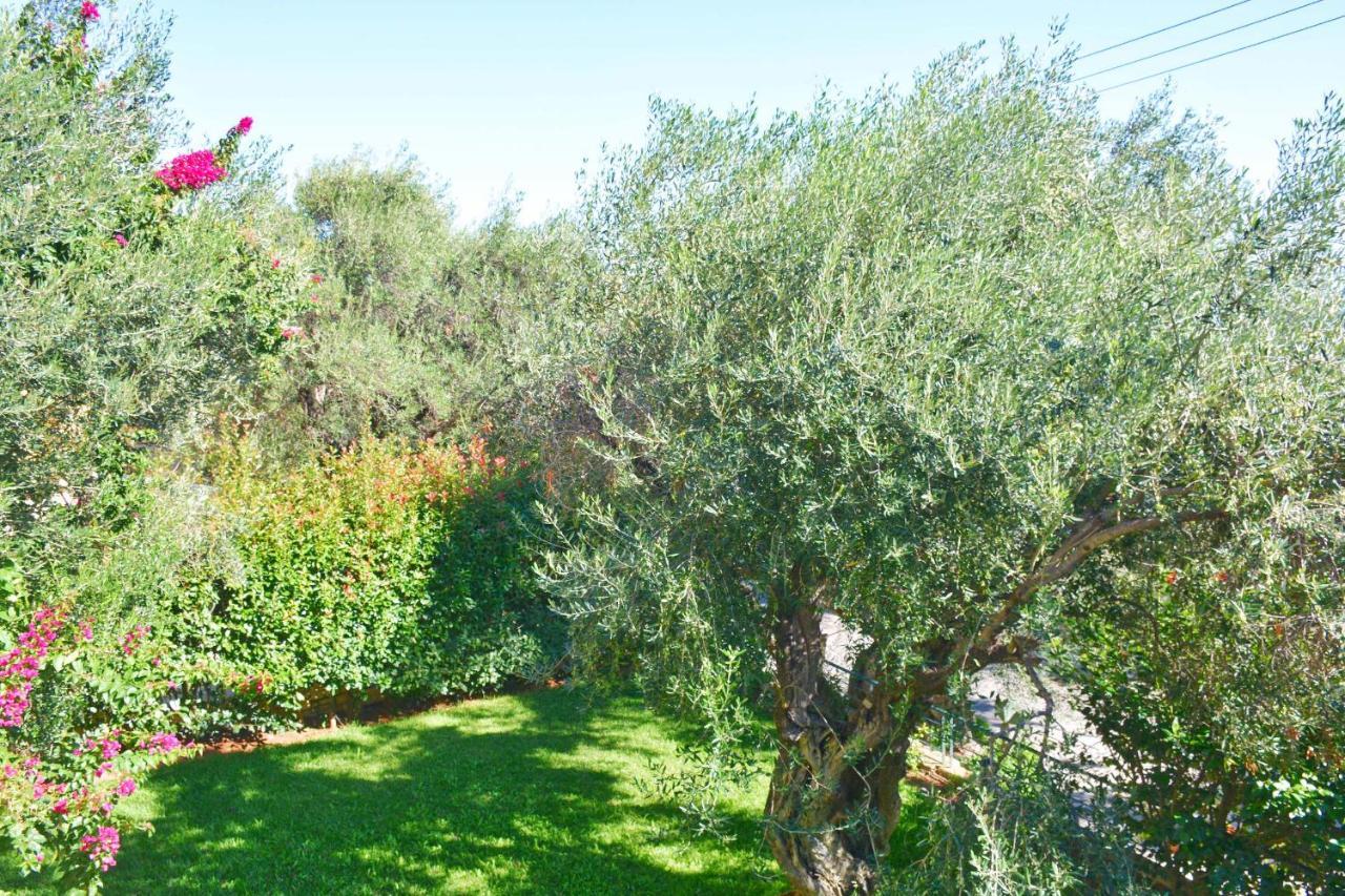 Apartamento Pebbles And Sea At Barbati With Shared Pool Exterior foto